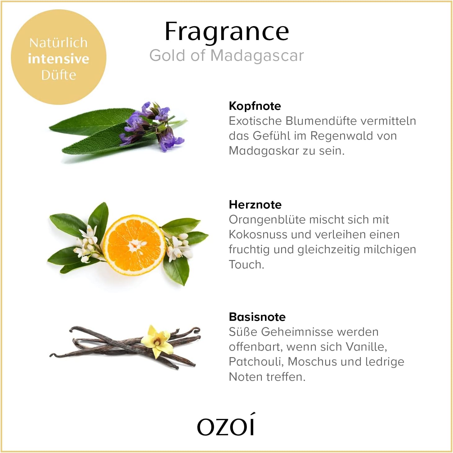 OZOI - Gold of Madagascar Duftkerze